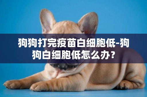 狗狗打完疫苗白細胞低-狗狗白細胞低怎么辦？