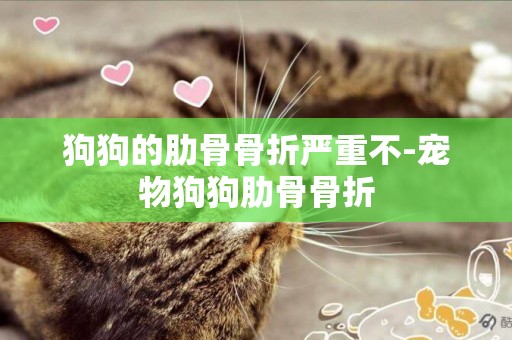狗狗的肋骨骨折嚴重不-寵物狗狗肋骨骨折