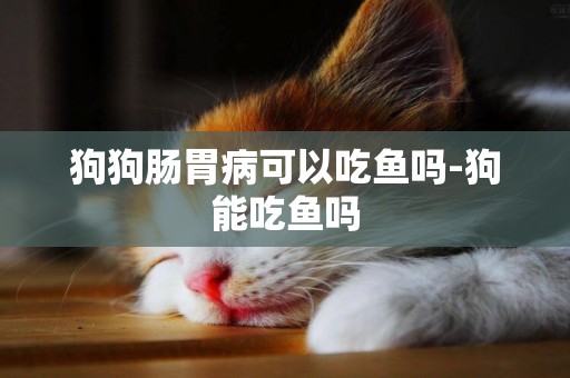 狗狗腸胃病可以吃魚嗎-狗能吃魚嗎