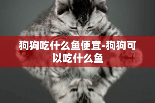 狗狗吃什么魚便宜-狗狗可以吃什么魚