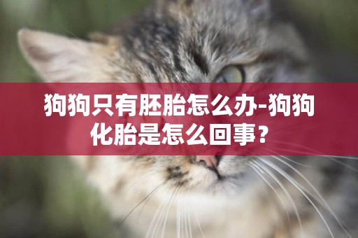 狗狗只有胚胎怎么辦-狗狗化胎是怎么回事？