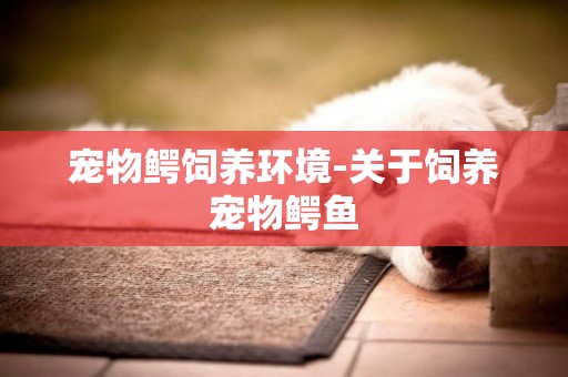 寵物鱷飼養環境-關于飼養寵物鱷魚