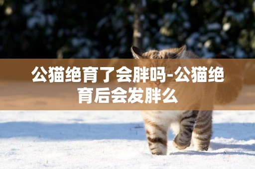 公貓絕育了會胖嗎-公貓絕育后會發胖么