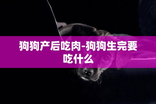 狗狗產后吃肉-狗狗生完要吃什么