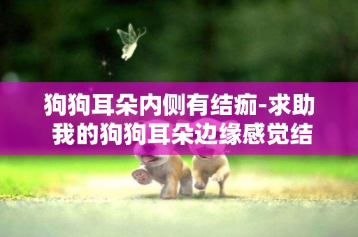 狗狗耳朵內側有結痂-求助 我的狗狗耳朵邊緣感覺結痂了