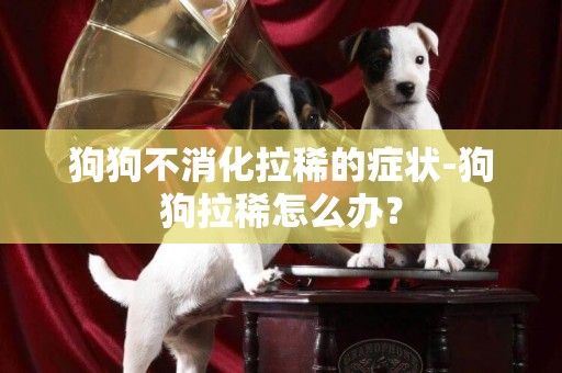 狗狗不消化拉稀的癥狀-狗狗拉稀怎么辦？