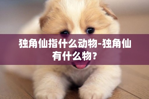 獨角仙指什么動物-獨角仙有什么物？