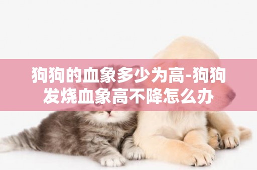 狗狗的血象多少為高-狗狗發燒血象高不降怎么辦