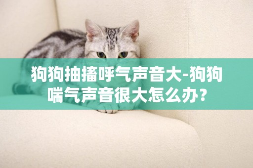 狗狗抽搐呼氣聲音大-狗狗喘氣聲音很大怎么辦？