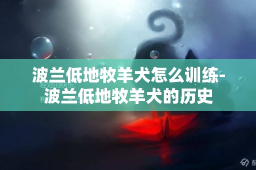 波蘭低地牧羊犬怎么訓練-波蘭低地牧羊犬的歷史