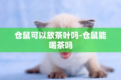 倉鼠可以放茶葉嗎-倉鼠能喝茶嗎