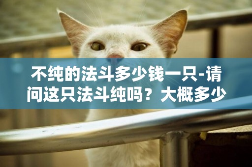 不純的法斗多少錢一只-請問這只法斗純嗎？大概多少錢一只？