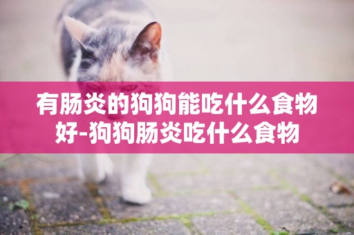有腸炎的狗狗能吃什么食物好-狗狗腸炎吃什么食物