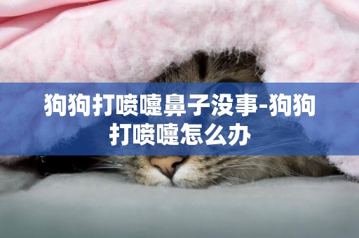 狗狗打噴嚏鼻子沒事-狗狗打噴嚏怎么辦