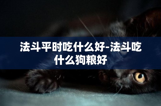 法斗平時吃什么好-法斗吃什么狗糧好