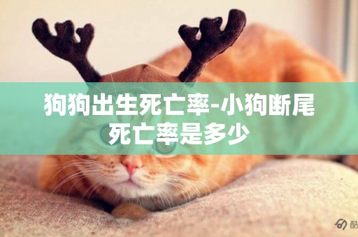 狗狗出生死亡率-小狗斷尾死亡率是多少