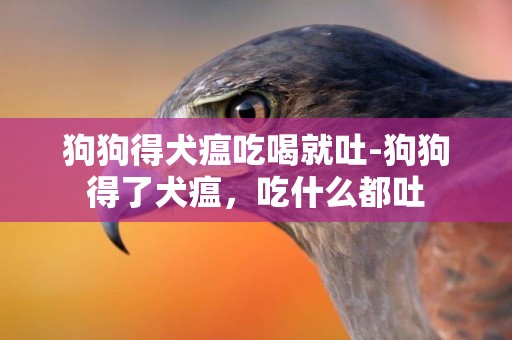 狗狗得犬瘟吃喝就吐-狗狗得了犬瘟，吃什么都吐