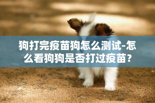 狗打完疫苗狗怎么測試-怎么看狗狗是否打過疫苗？