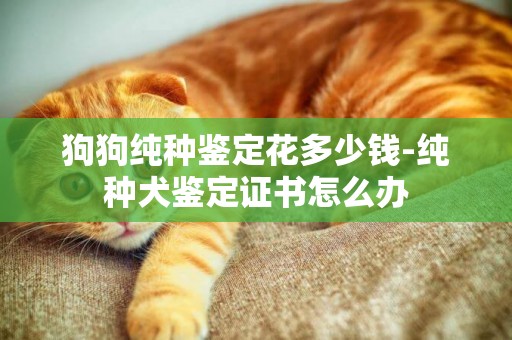 狗狗純種鑒定花多少錢-純種犬鑒定證書怎么辦