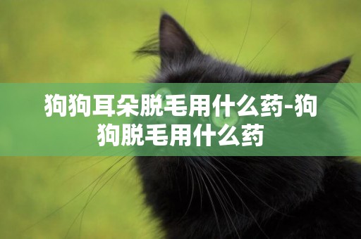 狗狗耳朵脫毛用什么藥-狗狗脫毛用什么藥