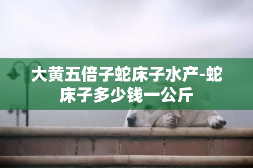 大黃五倍子蛇床子水產-蛇床子多少錢一公斤