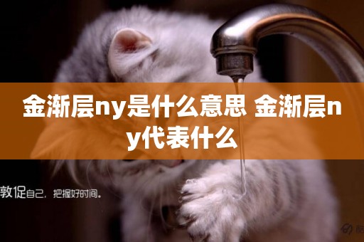 金漸層ny是什么意思 金漸層ny代表什么