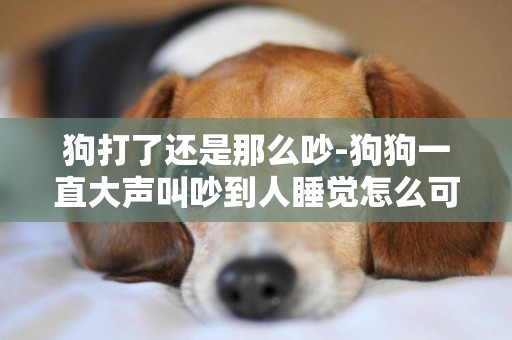 狗打了還是那么吵-狗狗一直大聲叫吵到人睡覺怎么可以讓他不叫打和哄都不管用