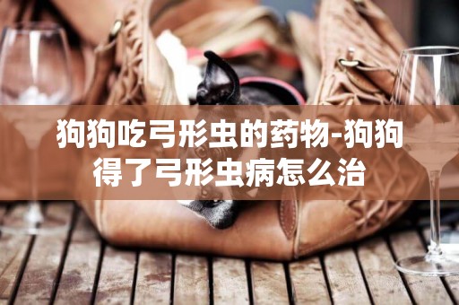 狗狗吃弓形蟲的藥物-狗狗得了弓形蟲病怎么治