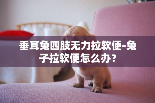垂耳兔四肢無力拉軟便-兔子拉軟便怎么辦？