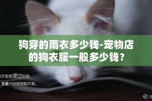 狗穿的雨衣多少錢-寵物店的狗衣服一般多少錢？