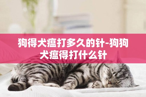 狗得犬瘟打多久的針-狗狗犬瘟得打什么針