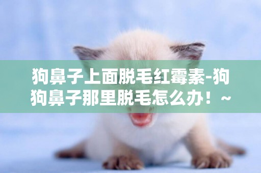 狗鼻子上面脫毛紅霉素-狗狗鼻子那里脫毛怎么辦！~