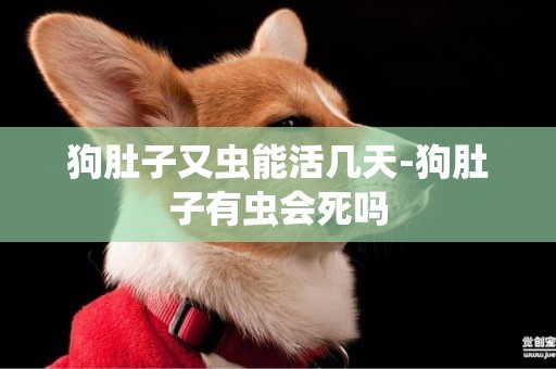 狗肚子又蟲能活幾天-狗肚子有蟲會死嗎