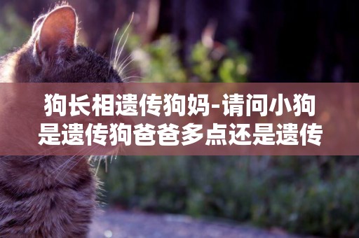狗長相遺傳狗媽-請問小狗是遺傳狗爸爸多點還是遺傳狗媽媽多點
