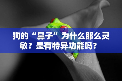 狗的“鼻子”為什么那么靈敏？是有特異功能嗎？ 
