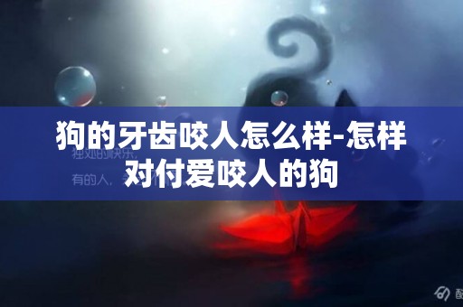狗的牙齒咬人怎么樣-怎樣對付愛咬人的狗