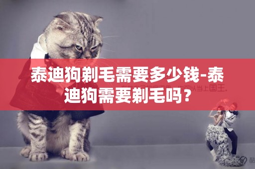 泰迪狗剃毛需要多少錢-泰迪狗需要剃毛嗎？