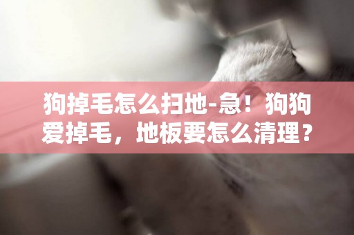 狗掉毛怎么掃地-急！狗狗愛掉毛，地板要怎么清理？