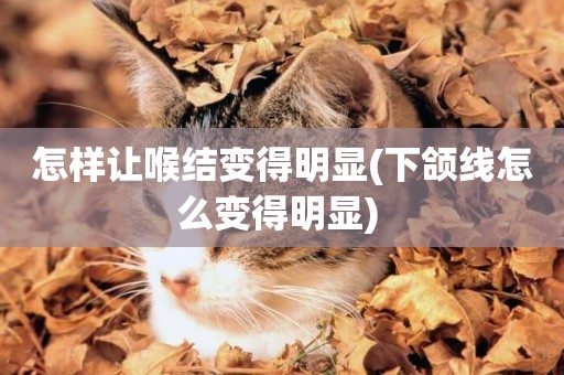 怎樣讓喉結變得明顯(下頜線怎么變得明顯) 
