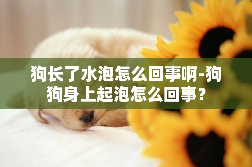 狗長了水泡怎么回事啊-狗狗身上起泡怎么回事？