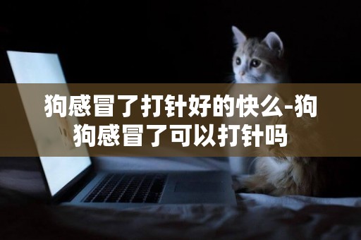 狗感冒了打針好的快么-狗狗感冒了可以打針嗎