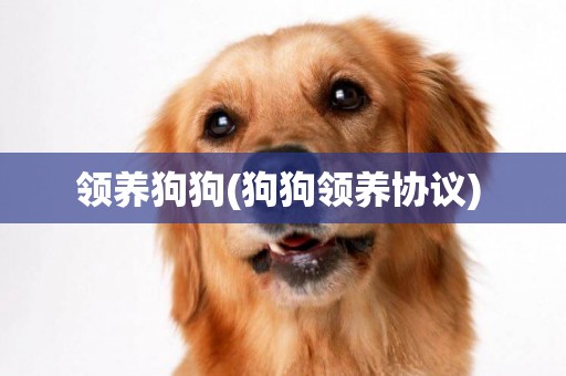 領養狗狗(狗狗領養協議) 