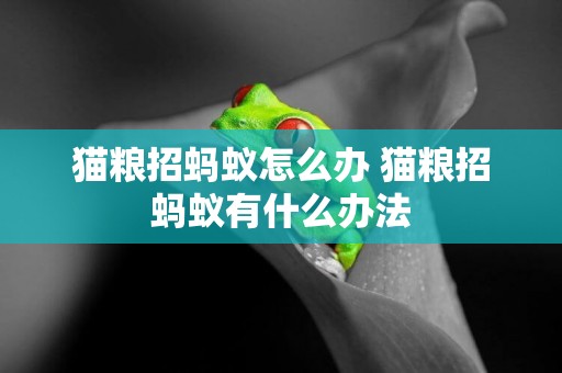貓糧招螞蟻怎么辦 貓糧招螞蟻有什么辦法