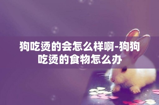 狗吃燙的會怎么樣啊-狗狗吃燙的食物怎么辦