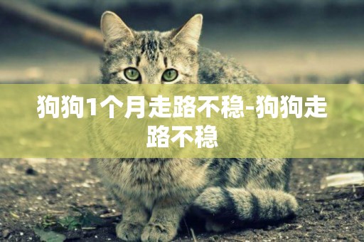 狗狗1個月走路不穩-狗狗走路不穩