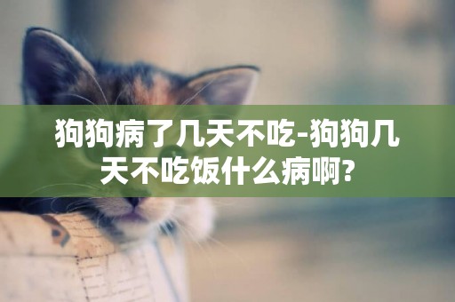 狗狗病了幾天不吃-狗狗幾天不吃飯什么病啊?