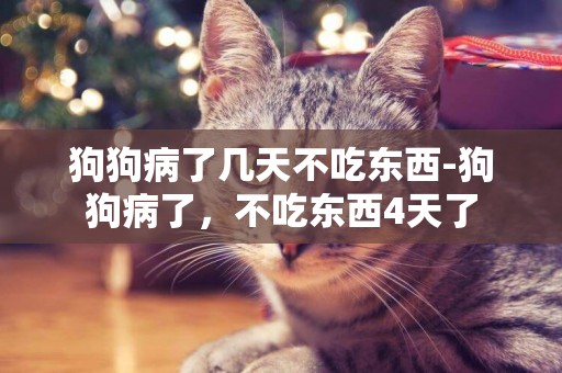 狗狗病了幾天不吃東西-狗狗病了，不吃東西4天了