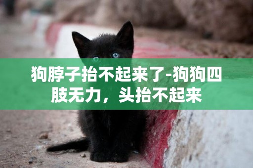 狗脖子抬不起來了-狗狗四肢無力，頭抬不起來