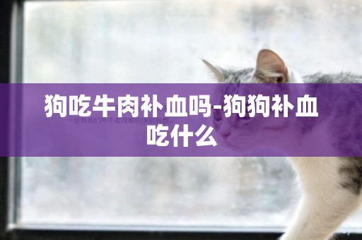 狗吃牛肉補血嗎-狗狗補血吃什么