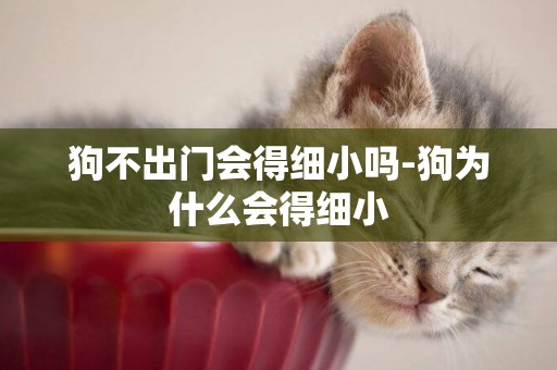 狗不出門會得細小嗎-狗為什么會得細小